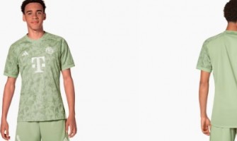 Combinação de cor verde com elementos de flores da montanha