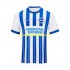 Camisolas Brighton & Hove Albion Homem Casa 2024-2025 Manga Curta