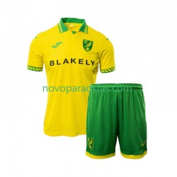 Camisolas Norwich City Criança Casa 2025-2026 Manga Curta