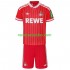 Camisolas FC Köln Criança Alternativo 2026-2027 Manga Curta