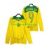 Camisolas Brasil RONALDO 9 Retro Homem Casa 2004 Manga Comprida