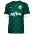 Camisolas Palmeiras Casa 2021-2022 Manga Curta