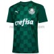 Camisolas Palmeiras Casa 2021-2022 Manga Curta