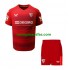 Camisolas Sevilla FC Criança Visitante 2022-2023 Manga Curta
